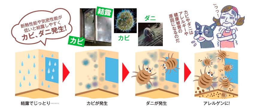 結露によるカビ・ダニから家族を守る断熱性能